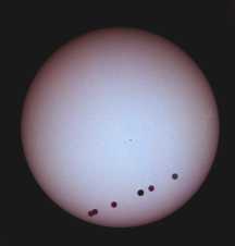venustransit